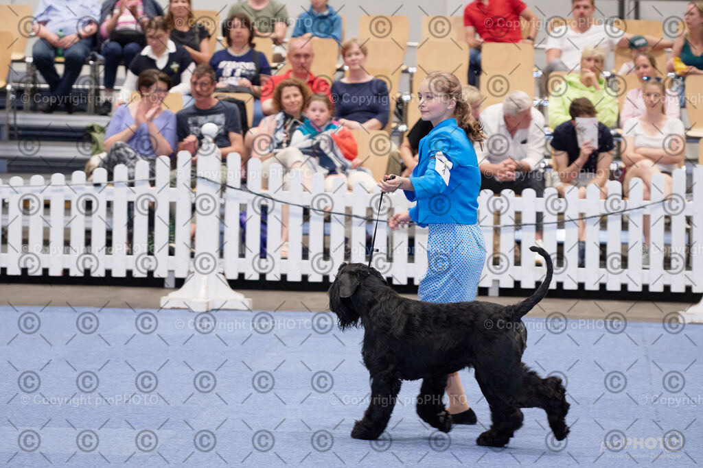 202406_ÖKV-IHA-Tulln24_NZ9_7754 | proPHOTO - Realisiert mit Pictrs.com