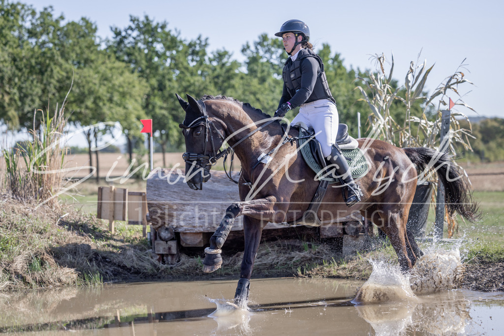 20260906-_3LI2075 | Tierfotografie Pferde, Hunde, Katzen, Haustiere.
Turnierfotografie Reitturniere, Reiten, Springreiten, Dressur in Hanau, dem Main-Kinzig-Kreis und dem Rhein-Main- Gebiet um Frankfurt