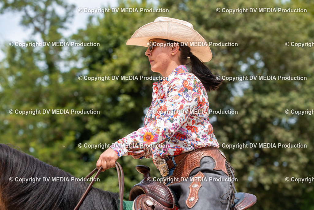 EWP_6290 | dv-media-shop - Realisiert mit Pictrs.com