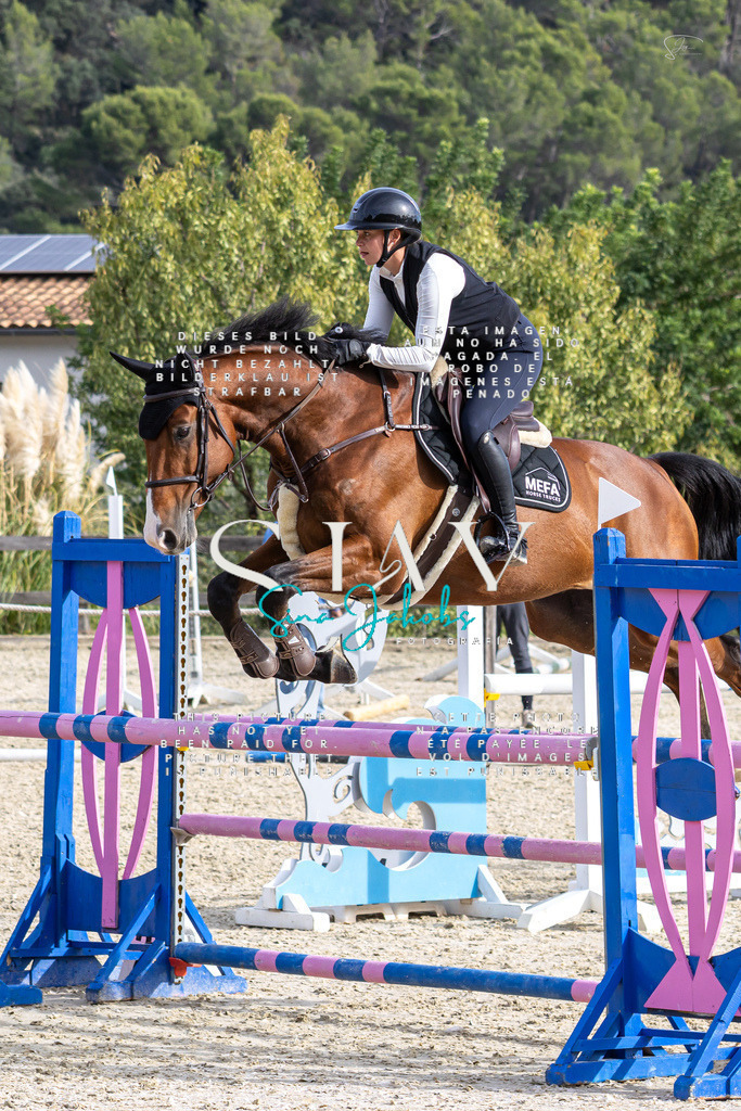 IMG_4011 | s-jay-photography - Realisiert mit Pictrs.com