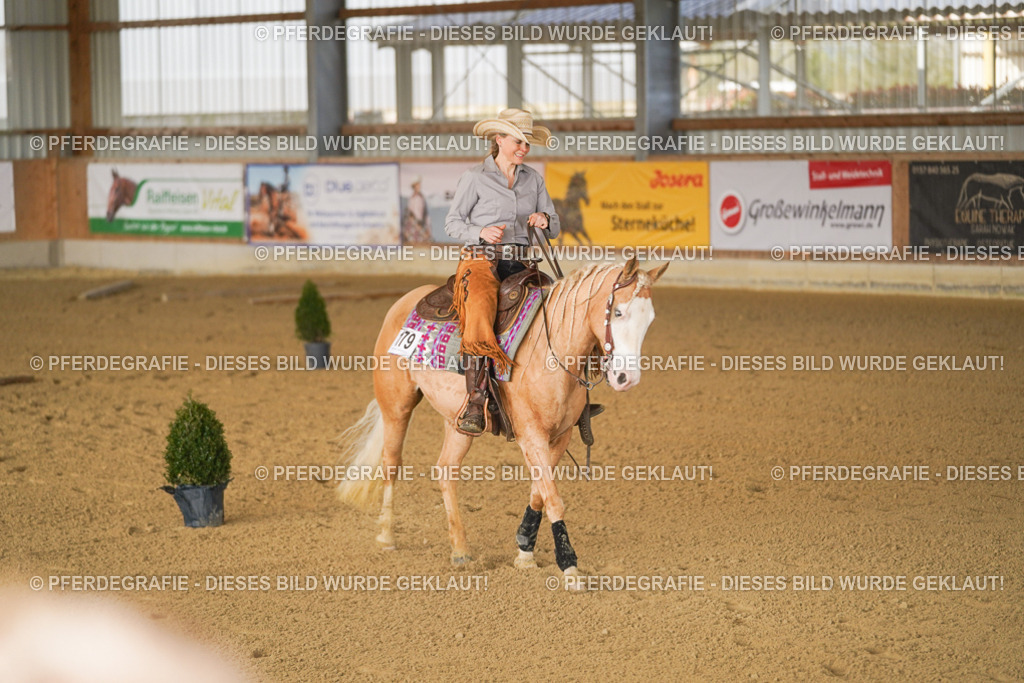 DSC01355 | Pferdegrafie