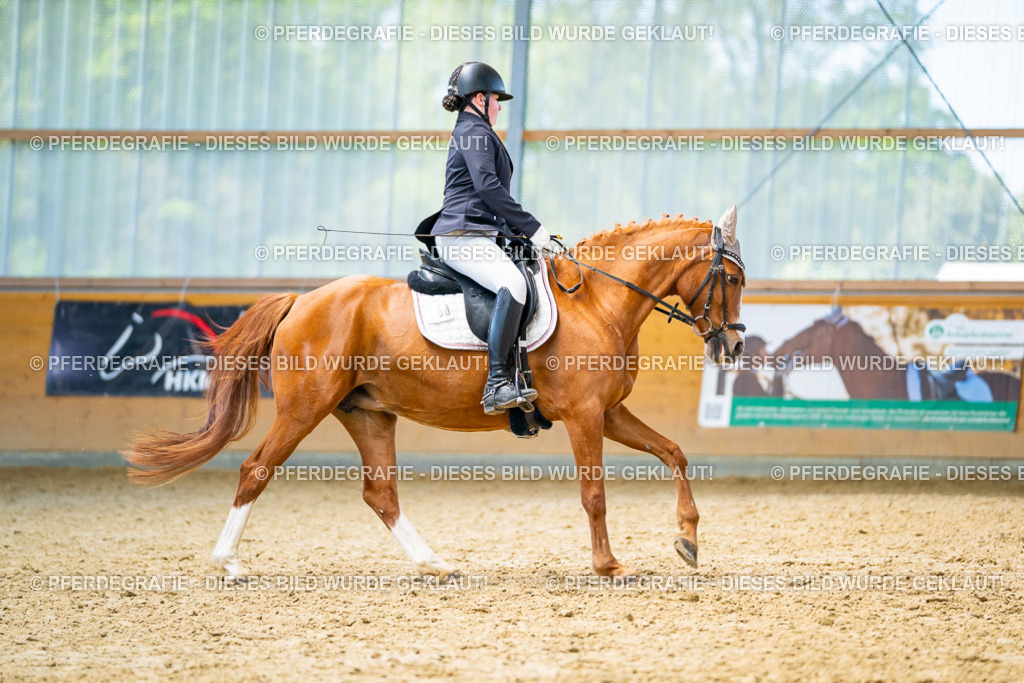 DSC08769 | Pferdegrafie