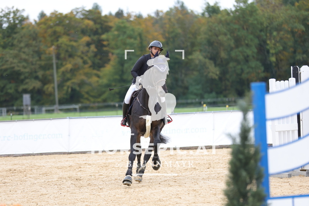 0P6A2892 | Willkommen bei Brunnmayr - Design & Fotografie – Ihrem Spezialisten für Reitturniere und Pferdeveranstaltungen in Oberösterreich, Salzburg und Bayern! Seit über 17 Jahren sind wir leidenschaftlich dabei.