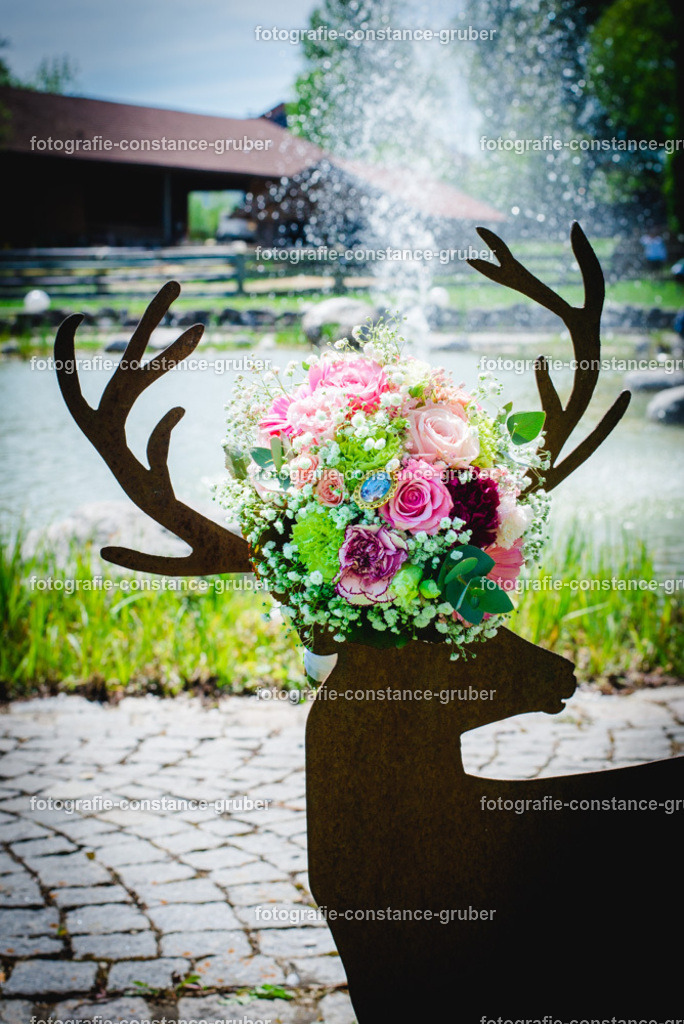 1017 | Fotografie Constance Gruber - Realisiert mit Pictrs.com