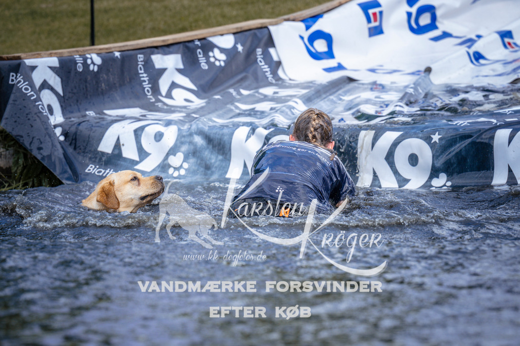 _ZZ910860911 | kk-dogfotos