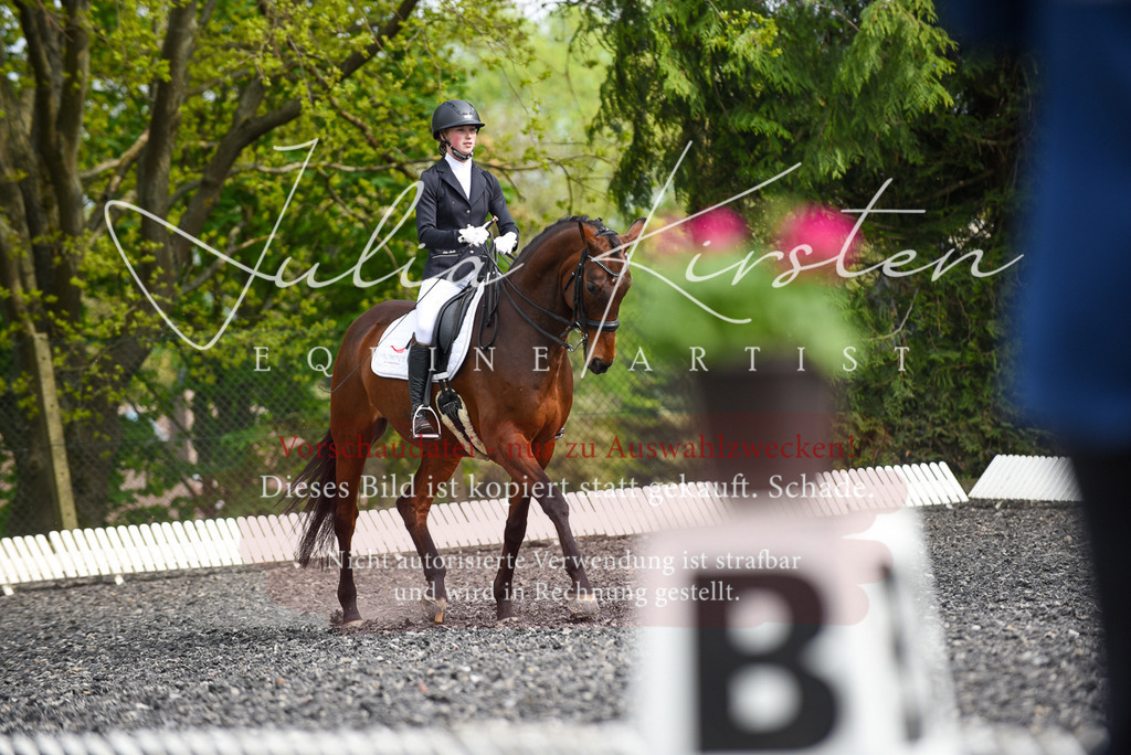 20230513_JK-Röhrsdorf-17-049 | Pferde- und Turnierfotografie in Westsachsen. Pferdeportraits, Auftragszeichnungen und intuitive Kunst.