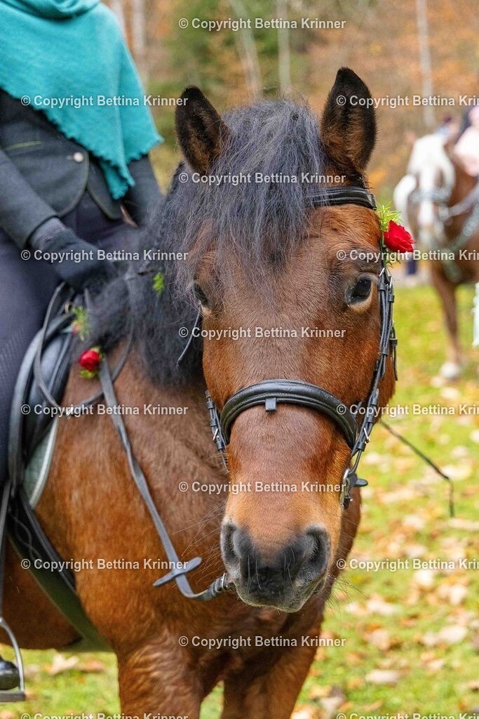 LL25-196 | foto-bettina-krinner - Realisiert mit Pictrs.com