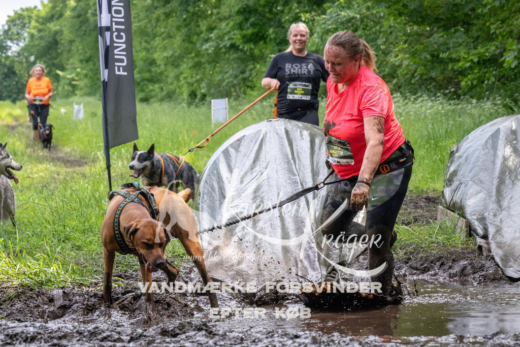 1252_ZZ94022 | kk-dogfotos