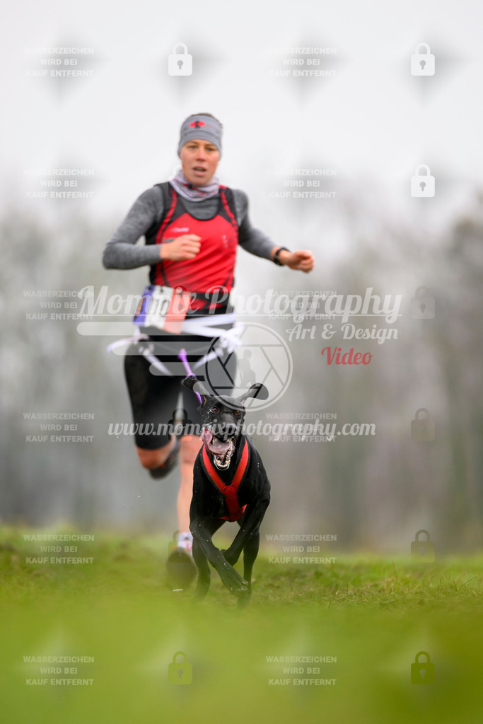MompixPhotography_CDF2023_FFST_Di_Canicross-59 | PayLife
