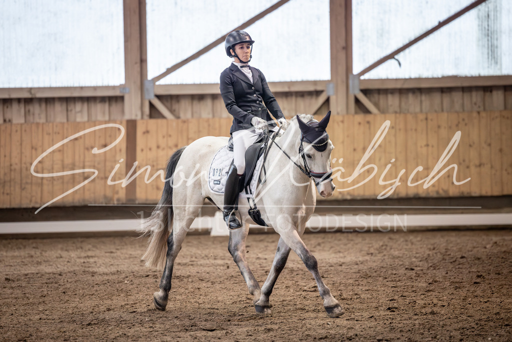 20251011-_3LI1926 | Tierfotografie Pferde, Hunde, Katzen, Haustiere.
Turnierfotografie Reitturniere, Reiten, Springreiten, Dressur in Hanau, dem Main-Kinzig-Kreis und dem Rhein-Main- Gebiet um Frankfurt