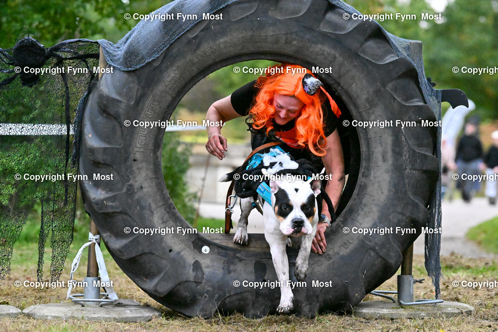 DSC_7755 | Hallo und herzlich Willkommen auf meiner Shop-Seite Fynn Most.

Ich wünsche Dir viel Spaß beim stöbern durch die Bilder, wenn Du Fragen hast oder Bilder vermisst, kannst du mir gerne eine Nachricht schreiben. - Realisiert mit Pictrs.com