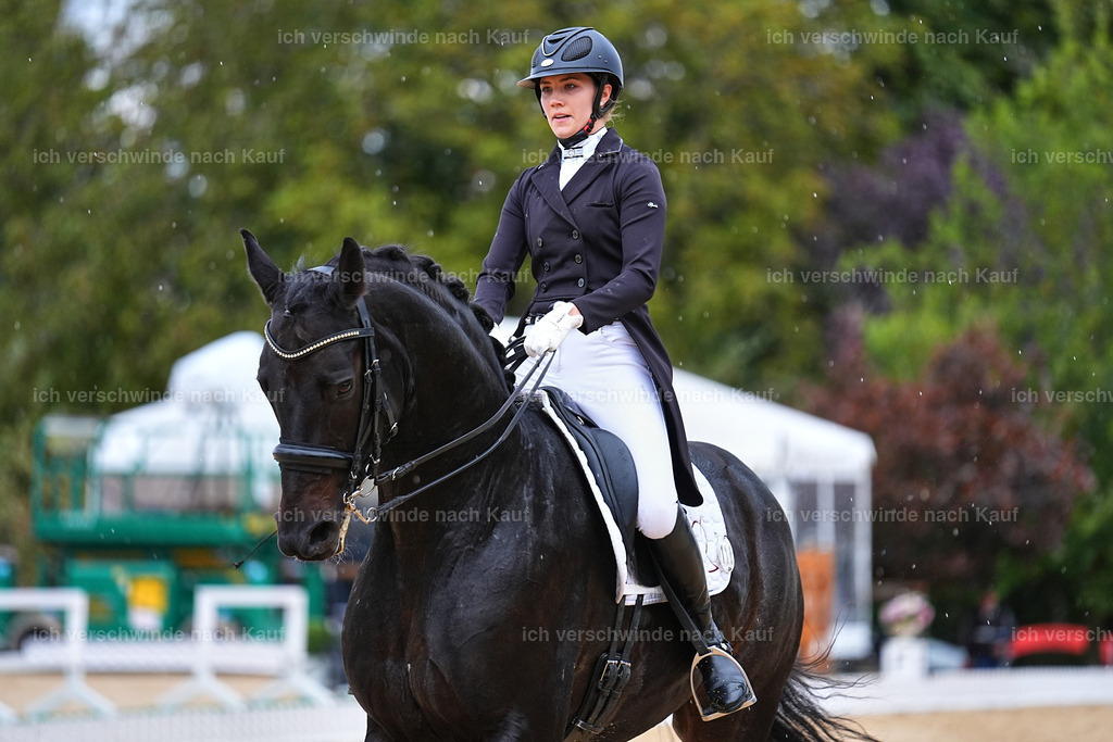 8_1-118-Klasse S_  -Marixx-4231 | working equitationturnier fotograf videograf stoibphotography marixx film working equitation deutschland reitsport turnierfotografie eventfotografie equestrian events