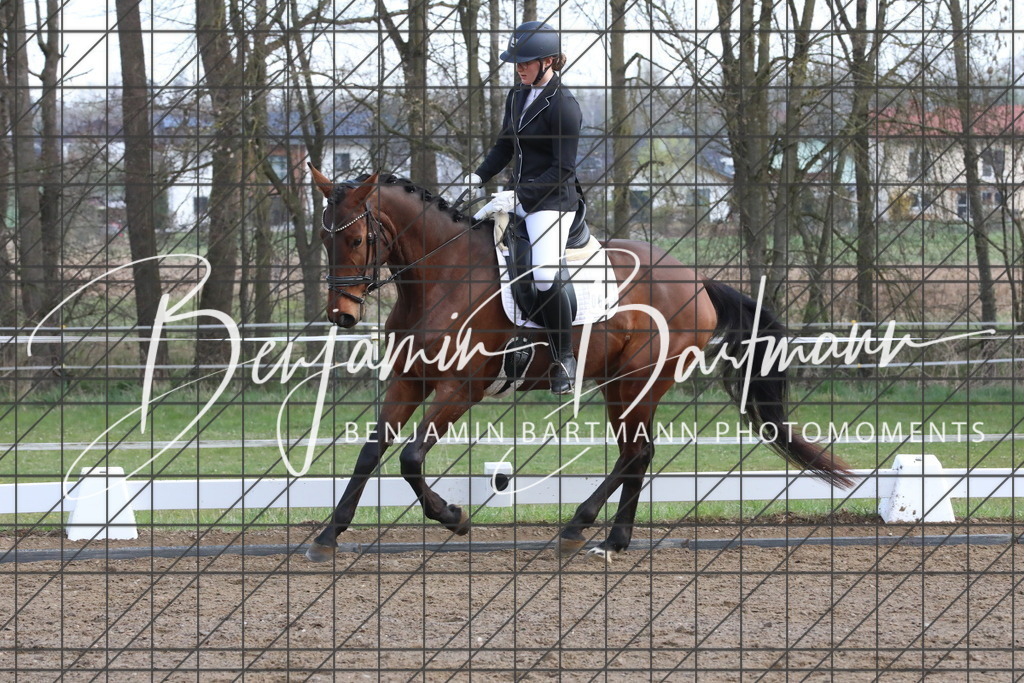 AZ2A6425 | Benjamin Bartmann Photomoments