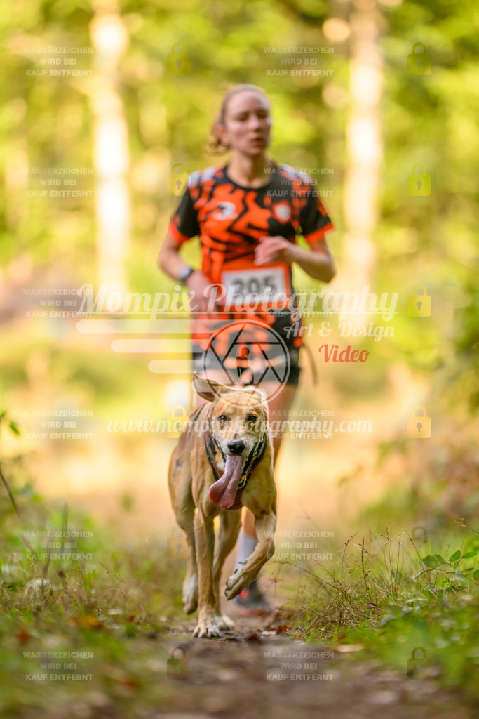 MompixPhotography_Yens2025_B3-217 | PayLife