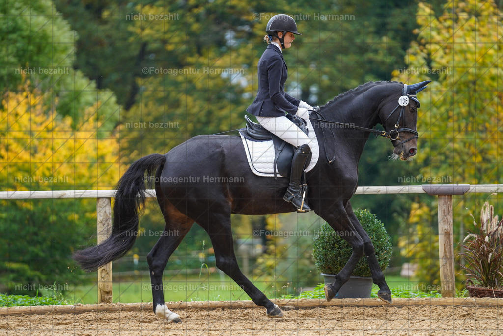 20221008-FAH01959 | Diessen am Ammersee, 2022, Dressur- und Springturnier, Reitsportbilder, Turnierfotografen Bayern, Pferdefotografen, Fotoagentur Herrmann, Turnierbilder