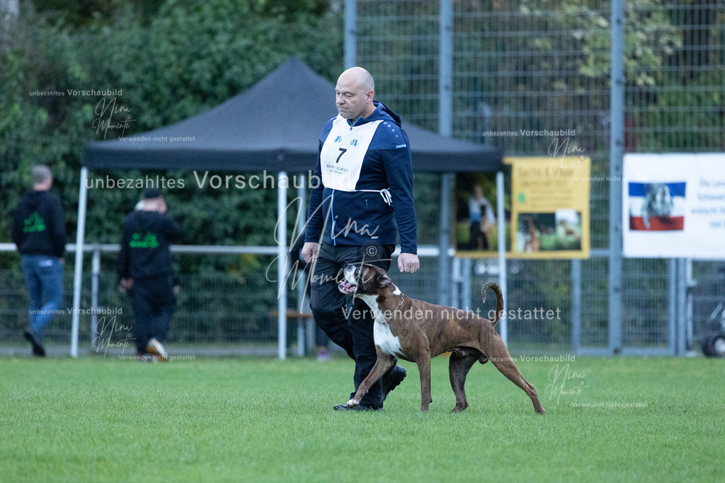 _16A4403 | Einzigartige Fotos von Hunden & Menschen –Actionfotos, Portraits, Vereinsaufnahmen & Paarshootings – authentisch, lebendig & mit Herz.