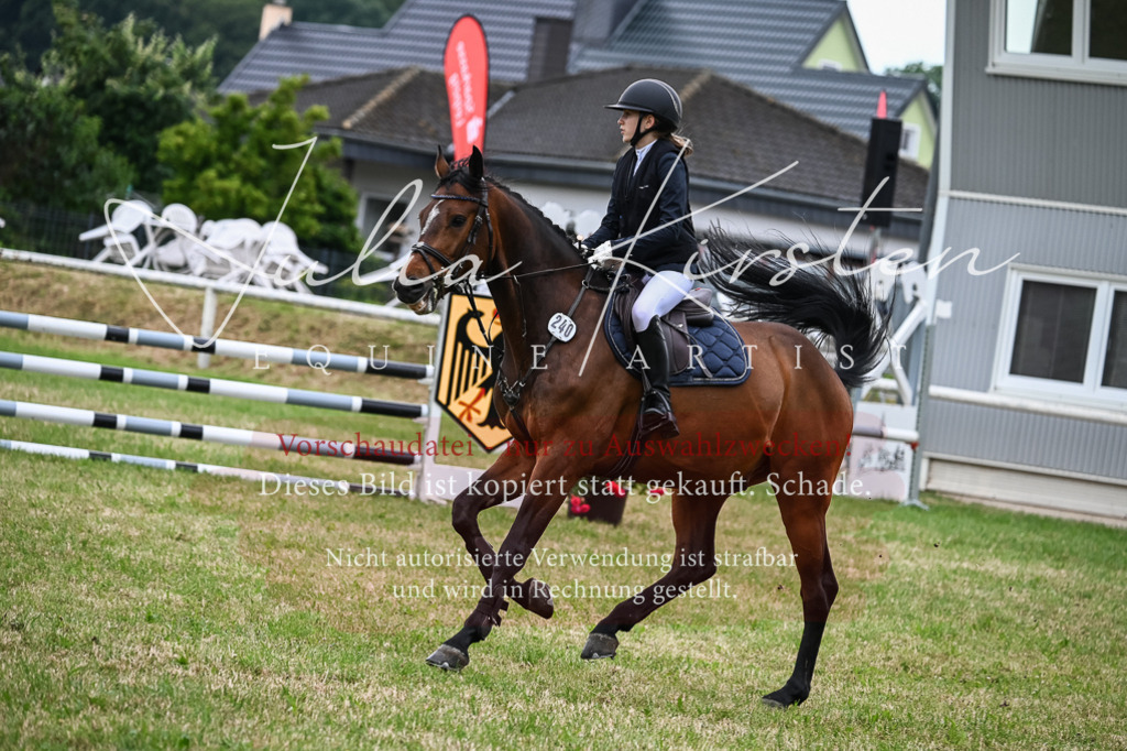 DSC_8459 | Pferde- und Turnierfotografie in Westsachsen. Pferdeportraits, Auftragszeichnungen und intuitive Kunst.