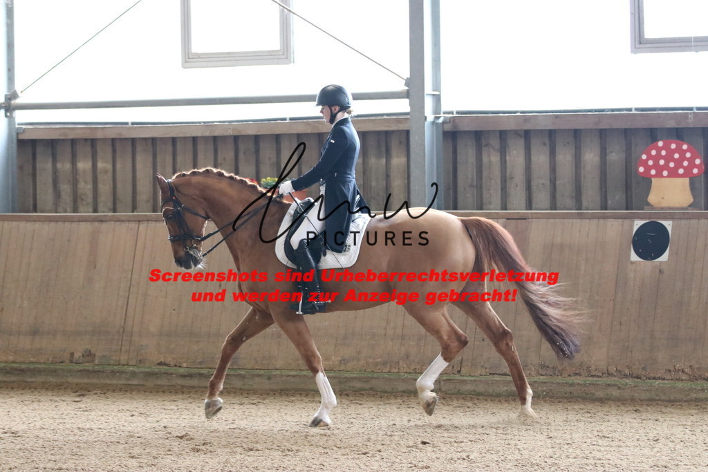 IMG_0571 | lmwpictures - Realisiert mit Pictrs.com