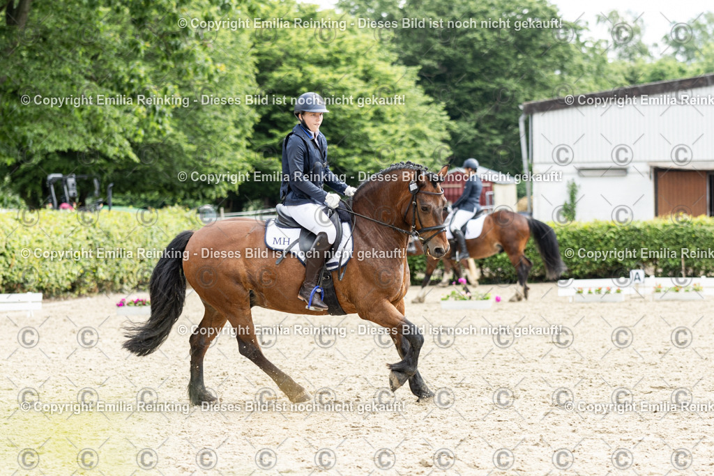 CL5A7560 | Emilia Reinking Fotografie - Realisiert mit Pictrs.com