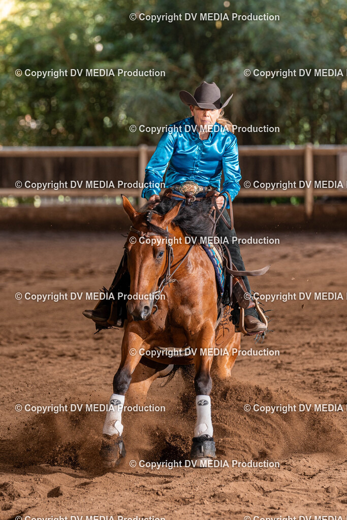 Erbach Tag 2-777 | dv-media-shop - Realisiert mit Pictrs.com