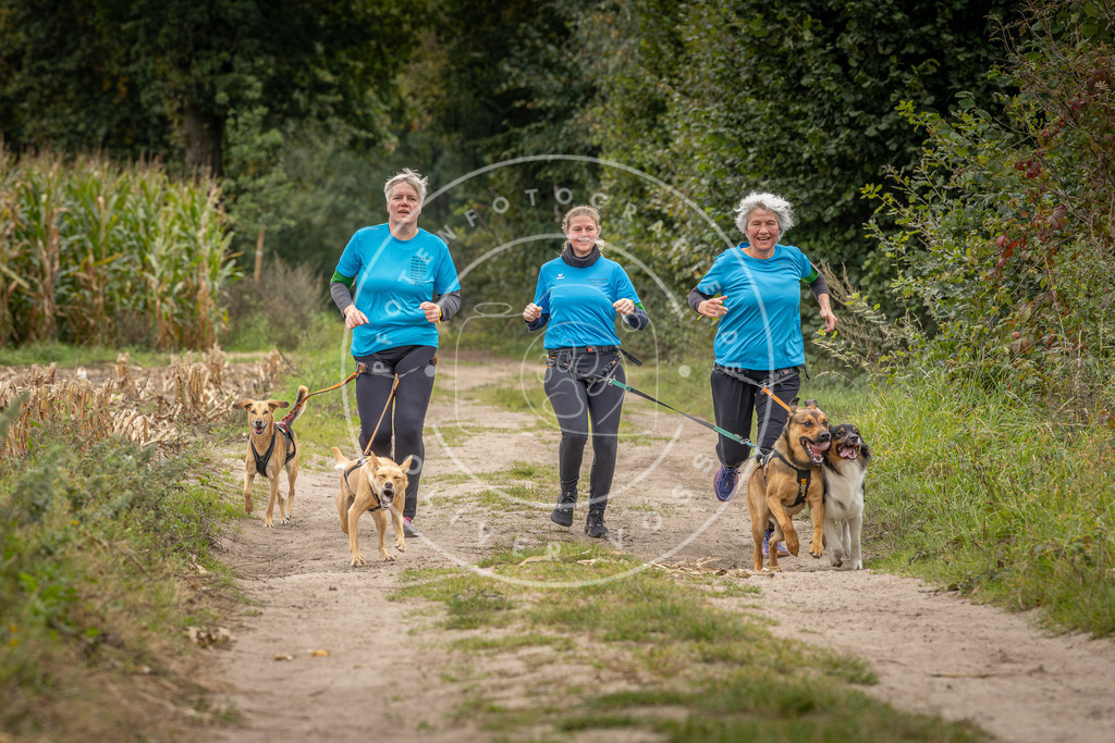 Pfotenfotografie_DV3A6412 | Hundefotografie, Tierfotograf, Pfotenfotografie, Fotoshooting Hund, Hunde Portrait, Hundesport, Hundeportraits, Heideshooting, Hunde, Sportfotograf, Hundefotograf, Turnierhundsport, THS,  - Realisiert mit Pictrs.com