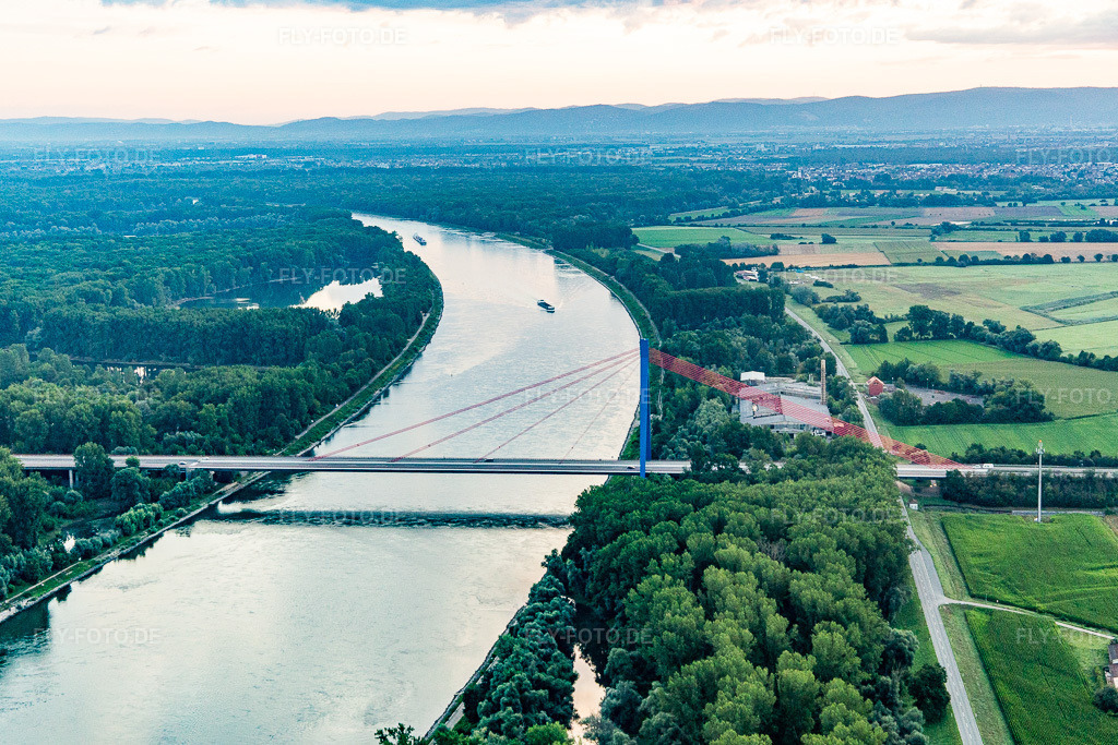 Luftbild: Autobahnbrücke der A61 über den Rhein in Hockenheim im Bundesland Baden-Württemberg in Deutschland. Foto: IMG_116405.jpg vom 11.08.2019 durch Werner Riehm/FLY-FOTO.de