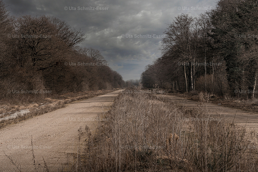 Hambacher Forst-alte-A4 | CEUS Design - Realisiert mit Pictrs.com