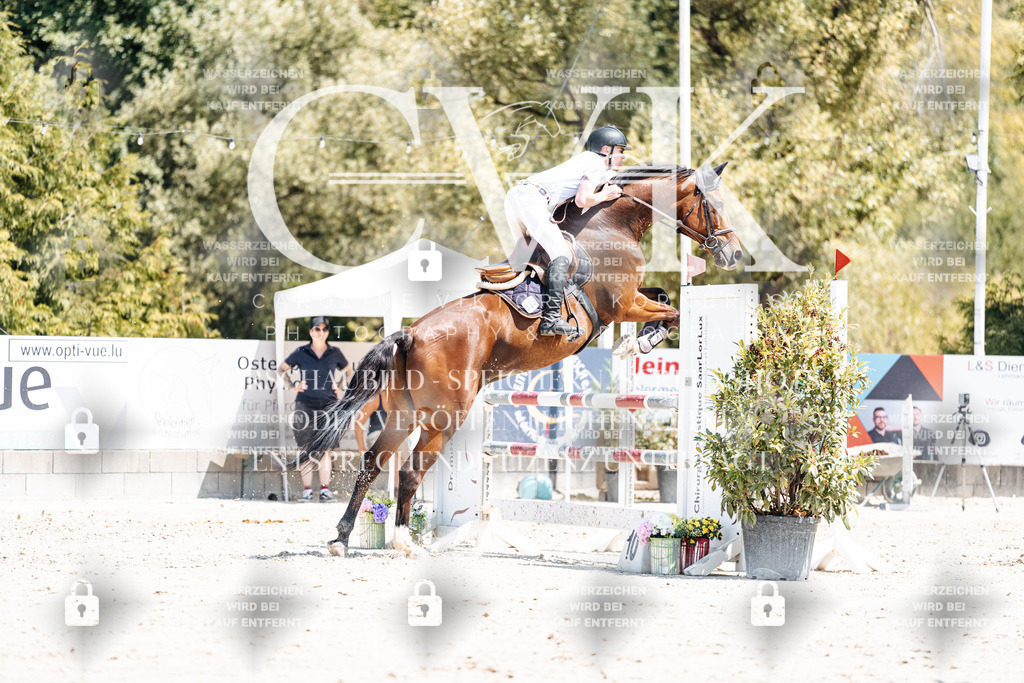 CK900552 | Turnierfotografie Pferdefotografie Trier Rheinland-Pfalz Pferdesport Reitsport Tierfotografie Sportfotografie Pferdevideo Pferdevideografie Equestrianvideography equestrianphotography  - Realisiert mit Pictrs.com