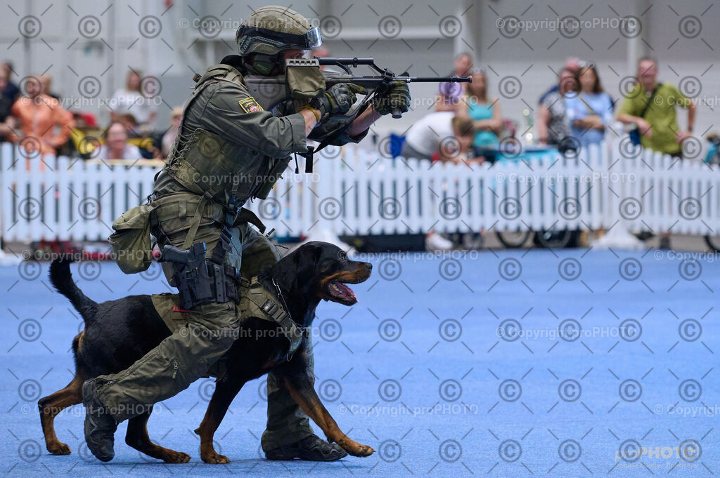 202406_ÖKV-IHA-Tulln24_DSC_3569 | proPHOTO - Realisiert mit Pictrs.com