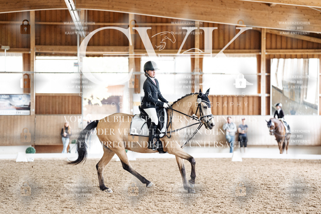 CK901539 | Turnierfotografie Pferdefotografie Trier Rheinland-Pfalz Pferdesport Reitsport Tierfotografie Sportfotografie Pferdevideo Pferdevideografie Equestrianvideography equestrianphotography  - Realisiert mit Pictrs.com