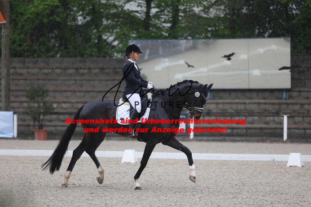 A40A7533 | lmwpictures - Realisiert mit Pictrs.com