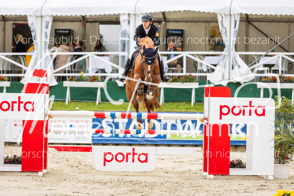 BHO-2PhSpr-M-5-2266 | MomenTaufnahmen Pferdesportfotos