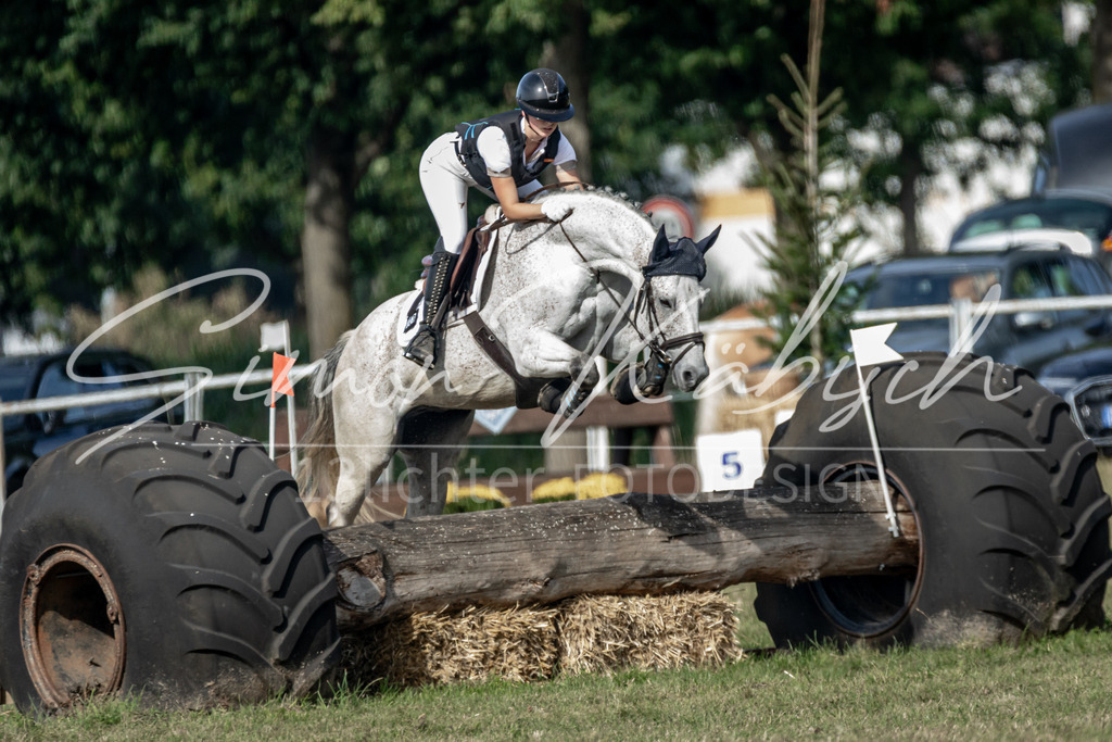 20250907-_3LR7848 | Tierfotografie Pferde, Hunde, Katzen, Haustiere.
Turnierfotografie Reitturniere, Reiten, Springreiten, Dressur in Hanau, dem Main-Kinzig-Kreis und dem Rhein-Main- Gebiet um Frankfurt