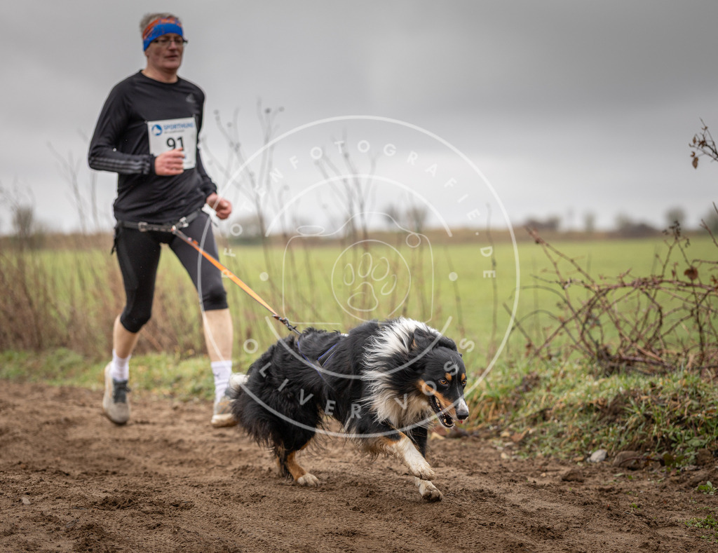 DV3A9999 | Hundefotografie, Tierfotograf, Pfotenfotografie, Fotoshooting Hund, Hunde Portrait, Hundesport, Hundeportraits, Heideshooting, Hunde, Sportfotograf, Hundefotograf, Turnierhundsport, THS,  - Realisiert mit Pictrs.com