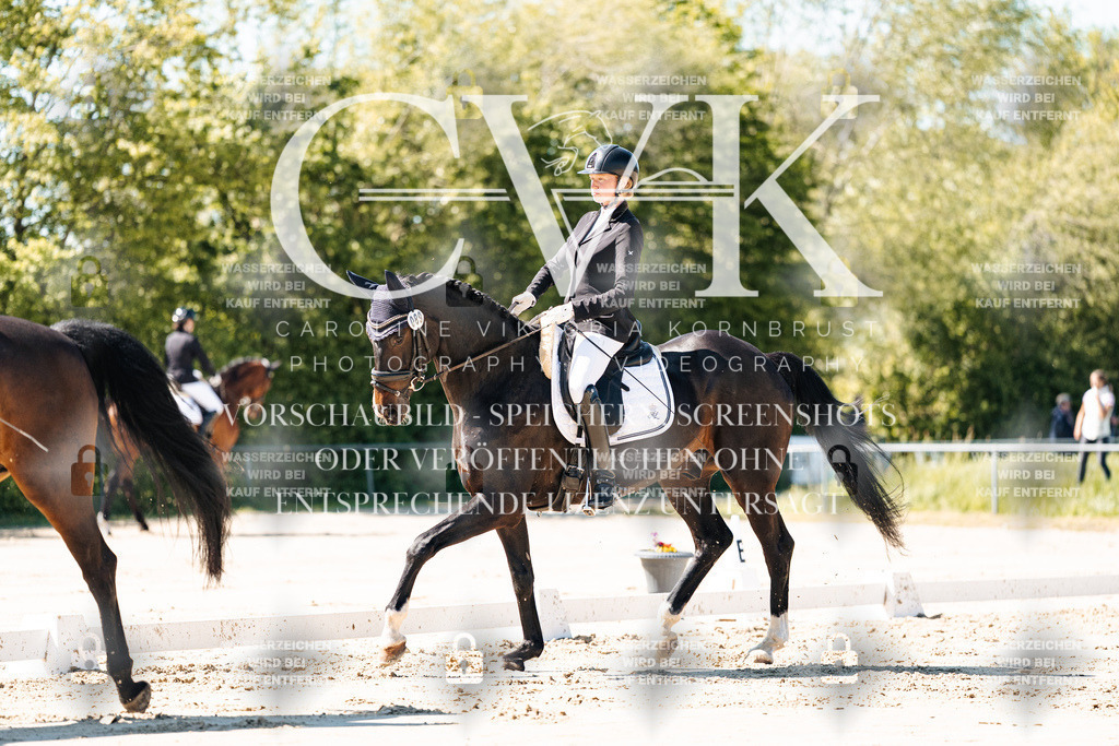 CK905034 | Turnierfotografie Pferdefotografie Trier Rheinland-Pfalz Pferdesport Reitsport Tierfotografie Sportfotografie Pferdevideo Pferdevideografie Equestrianvideography equestrianphotography  - Realisiert mit Pictrs.com