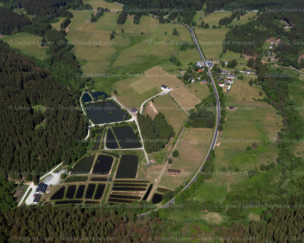 Forellenhof-Trauntal-3111583 | Forellenhof-Trauntal