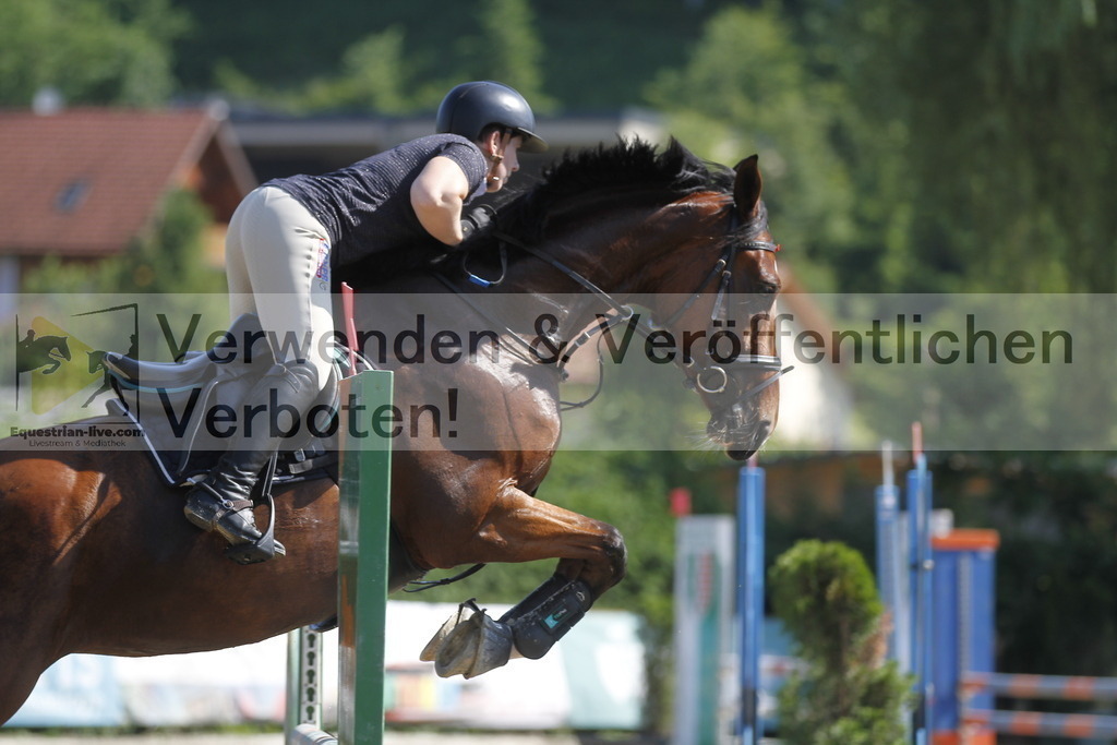 _MG_8409 | equestrian-live-com