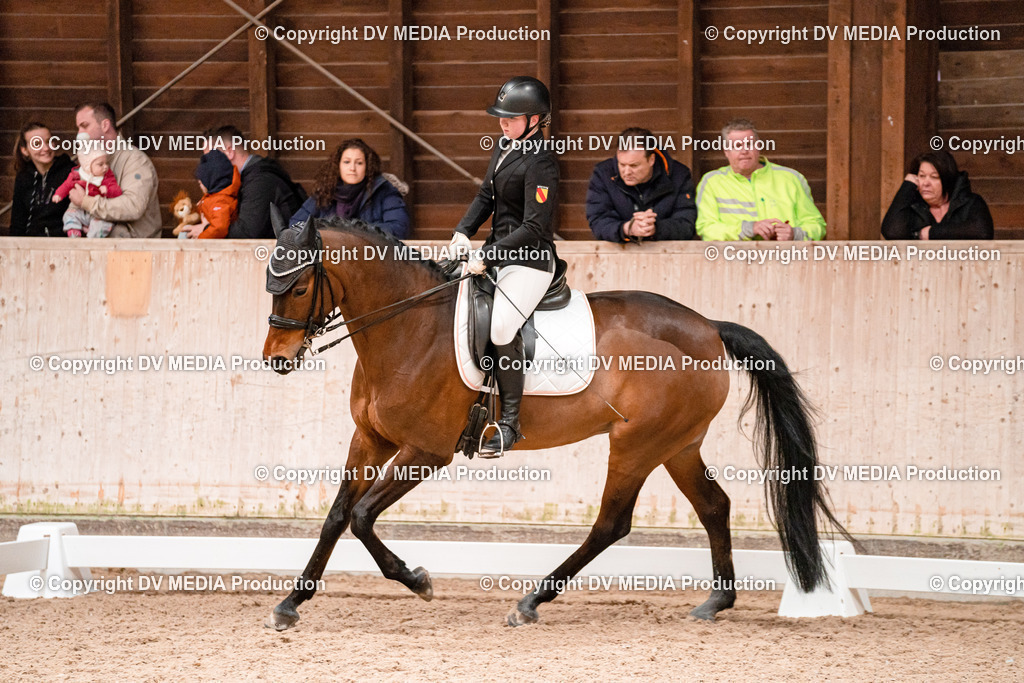 Dressur Tag 3-381 | dv-media-shop - Realisiert mit Pictrs.com