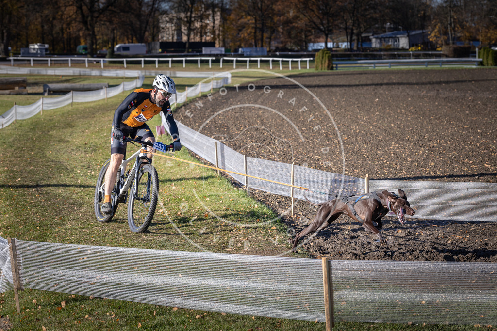 CaniXpix_DV3A5602 | Hundefotografie, Tierfotograf, Pfotenfotografie, Fotoshooting Hund, Hunde Portrait, Hundesport, Hundeportraits, Heideshooting, Hunde, Sportfotograf, Hundefotograf, Turnierhundsport, THS,  - Realisiert mit Pictrs.com