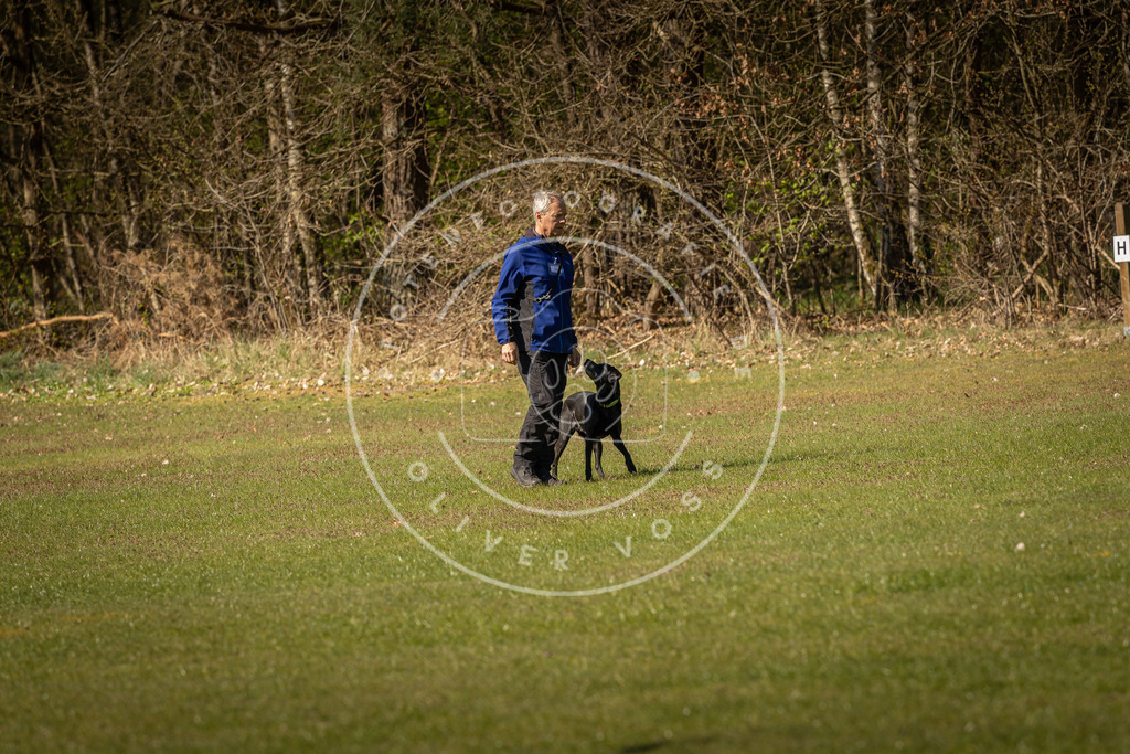 Pfotenfotografie_DV3A0357 | Hundefotografie, Tierfotograf, Pfotenfotografie, Fotoshooting Hund, Hunde Portrait, Hundesport, Hundeportraits, Heideshooting, Hunde, Sportfotograf, Hundefotograf, Turnierhundsport, THS,  - Realisiert mit Pictrs.com
