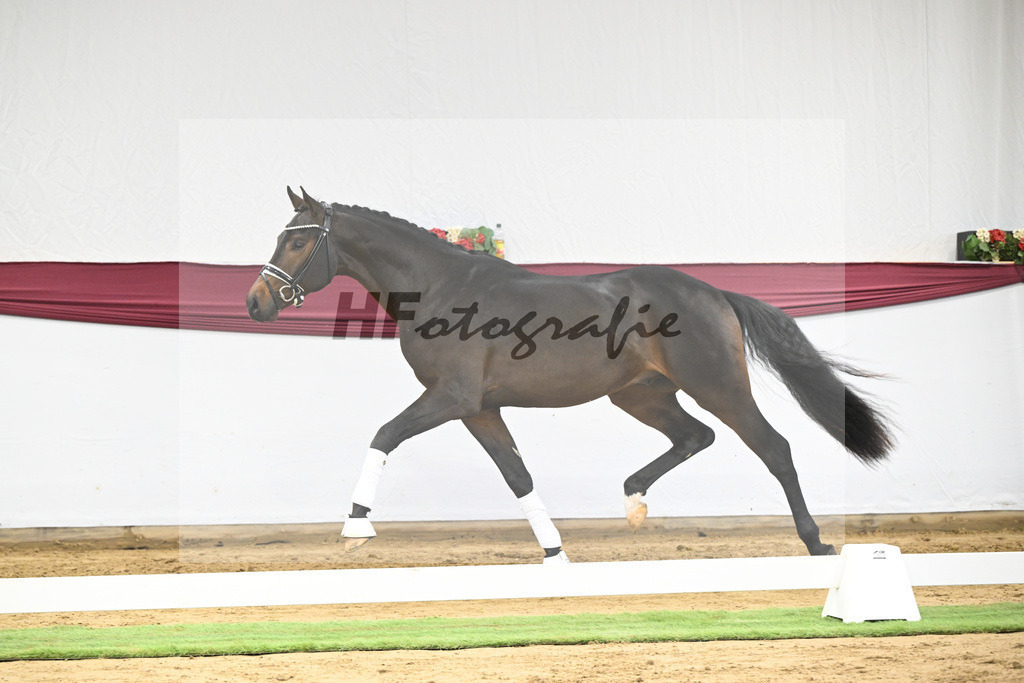 Kat-Nr. 21 St. Emilion x Quantensprung_Marianne Jerich_47250674 | hf-fotografie - Realizzato con Pictrs.com