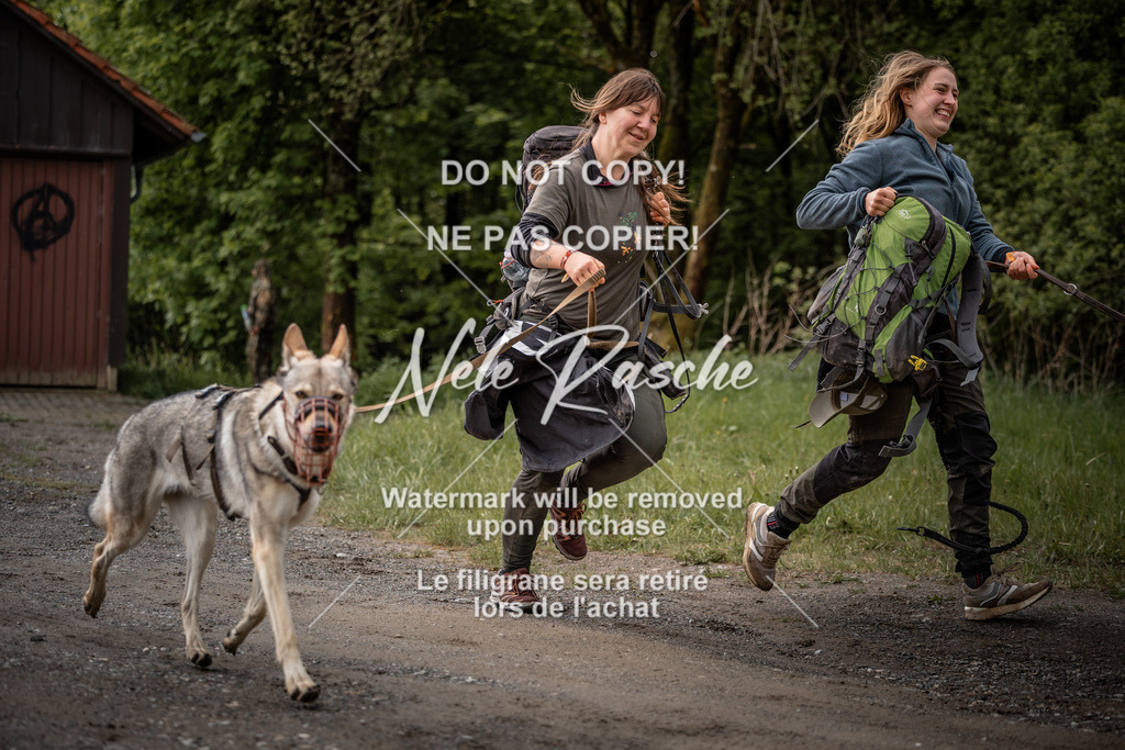 nelerasche_SoZieleinlauf_253 | nelerasche