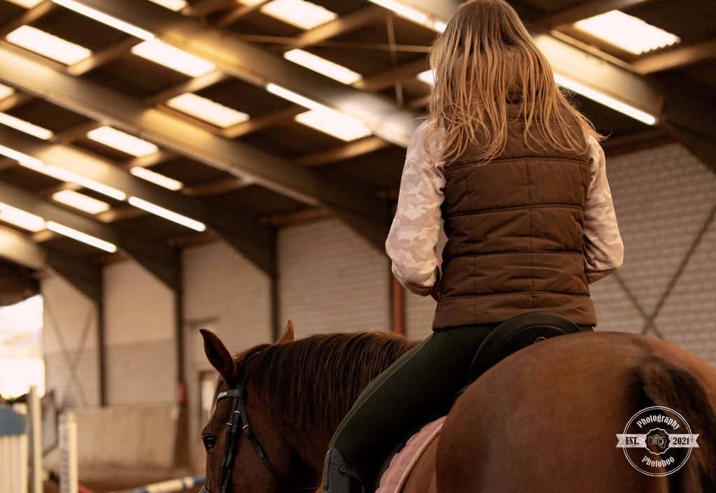 Lieblingsbilder_Photoboo_74 | Pferde- und Hundefotografie in Köln und Umgebung von Vanessza Csuka - Realisiert mit Pictrs.com