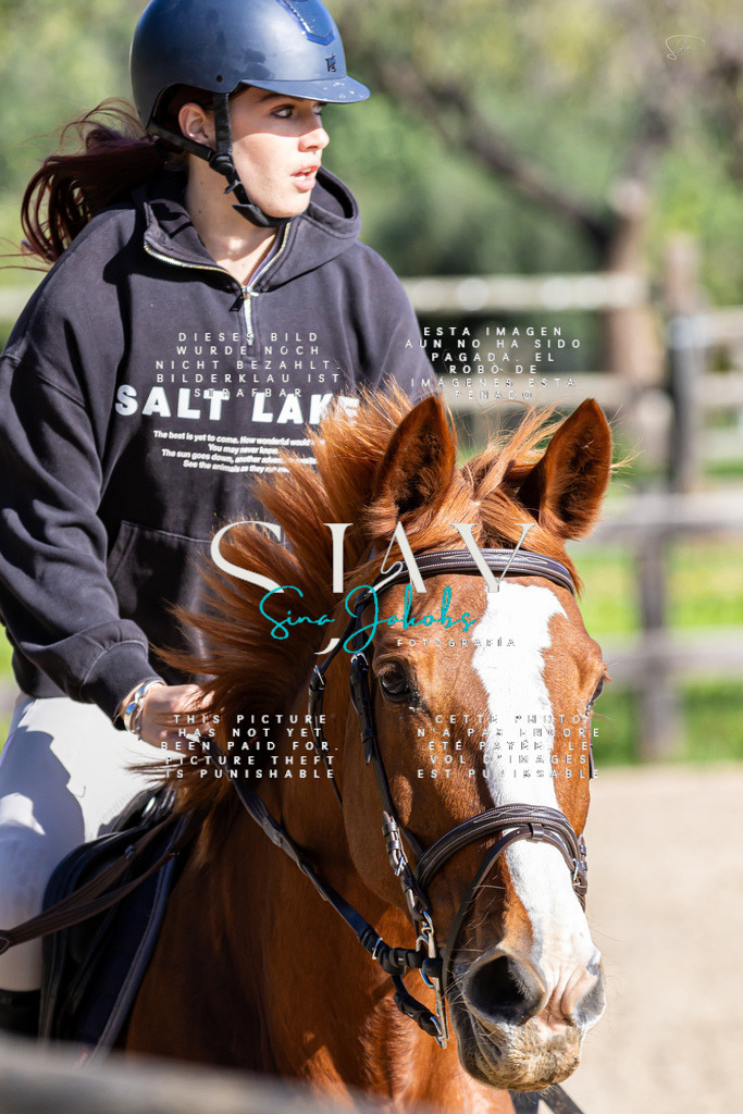 IMG_0617 | s-jay-photography - Realisiert mit Pictrs.com