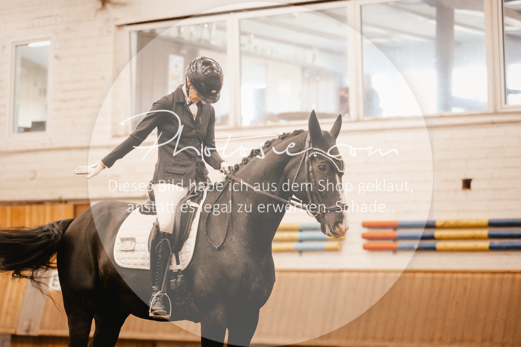 3I6A1900 | Stimmungsvolle Portraits und Reitsportfotografie im Ruhrgebiet und im Münsterland.

Pferdefotografie, Hundefotografie, Tierfotografie, Reportagen, Portraits von Tier und Mensch, Turnierfotografie in Bochum, Recklinghausen, Marl, Haltern am See, Dülmen.. - Realisiert mit Pictrs.com