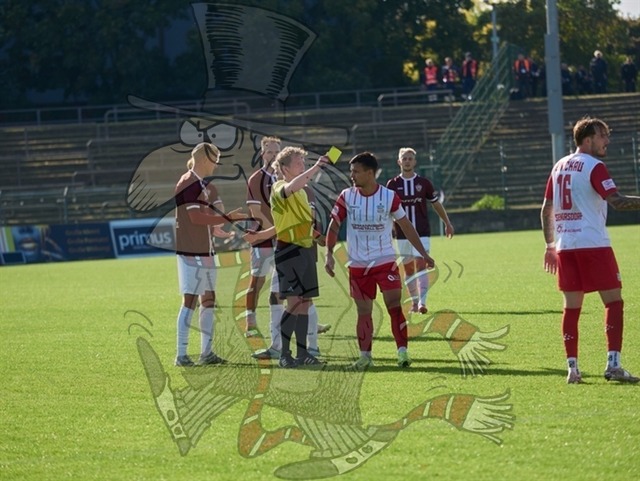 BFC Dynamo vs. FSV Zwickau 098 | mythos-online-redaktion