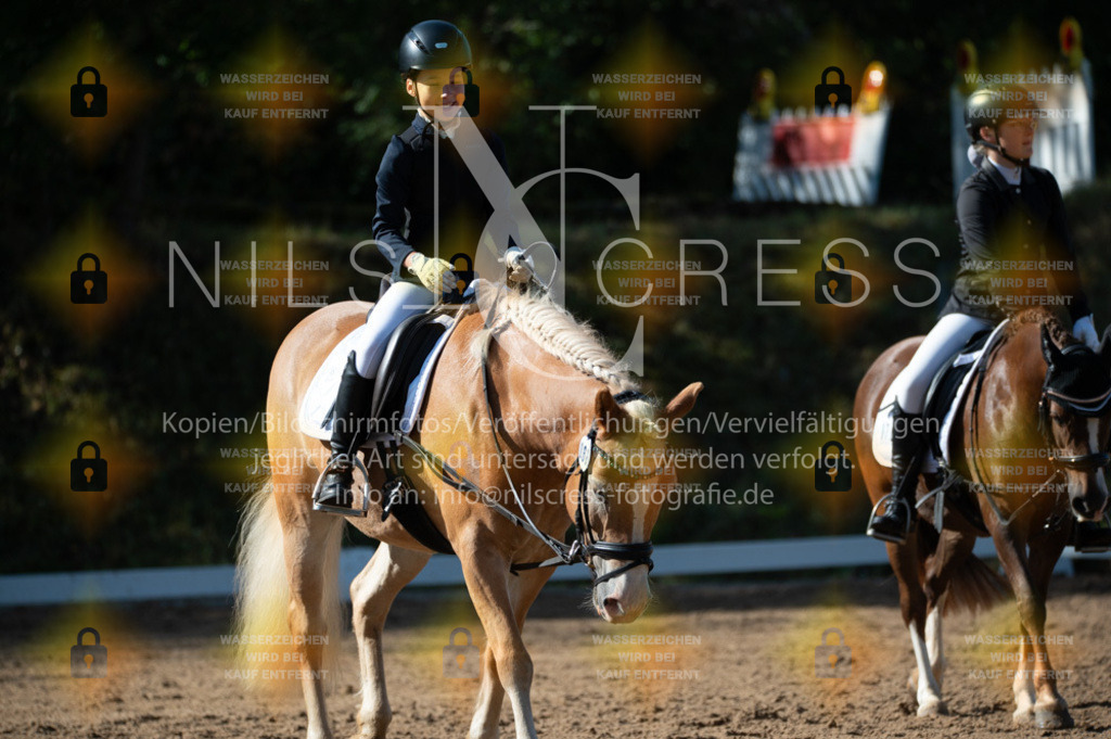 DSC_8385 | Nils Cress - Fotografie - Realisiert mit Pictrs.com