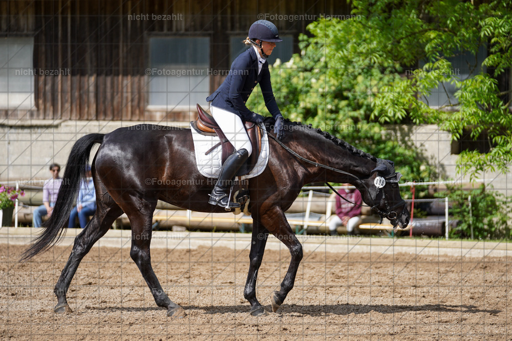 20240519-FAH04777 | Turnierbilder Niederseeon 2024, Vielseitigkeitsdressur, Reitsportbilder aus dem Landkreit Ebersberg, Gut Steinsee, RC Steinsee, Fotoagentur Herrmann