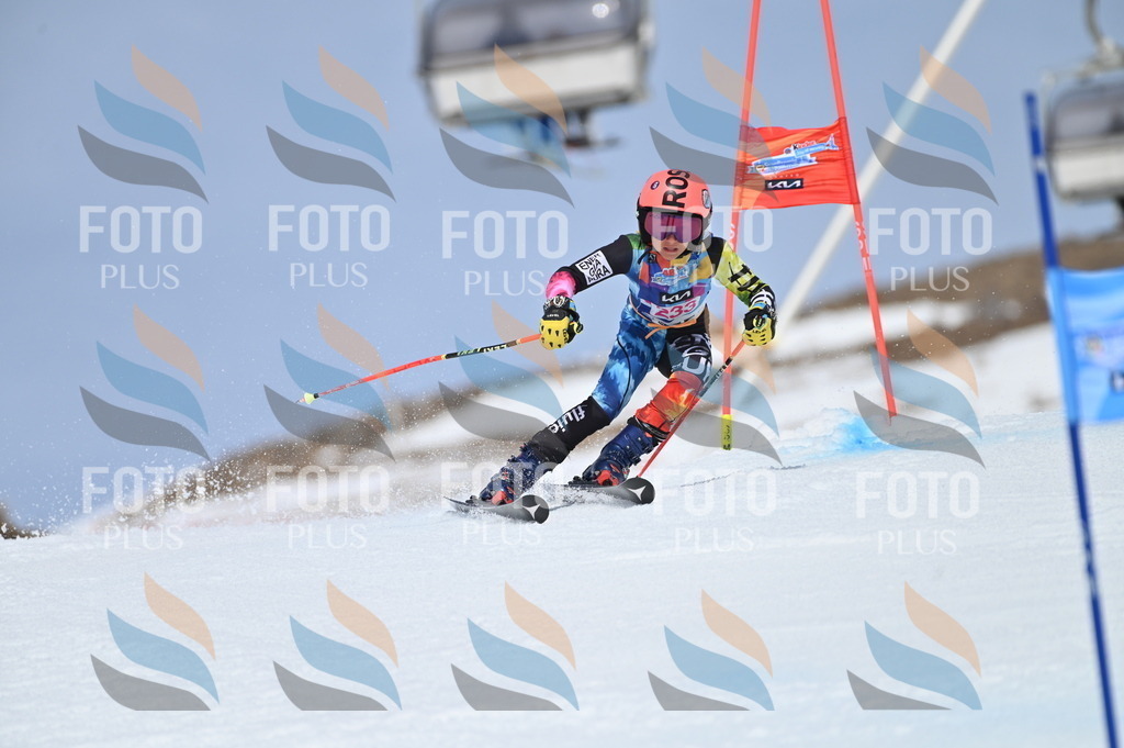 BGV_1553 | holidayphoto