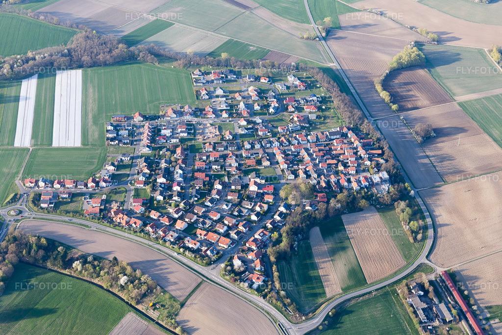 Luftbild: Neupotz, Hardtwald im Ortsteil Hardtwald in Neupotz im Bundesland Rheinland-Pfalz in Deutschland. Foto: IMG_097973.jpg vom 30.03.2017 durch Werner Riehm/FLY-FOTO.de